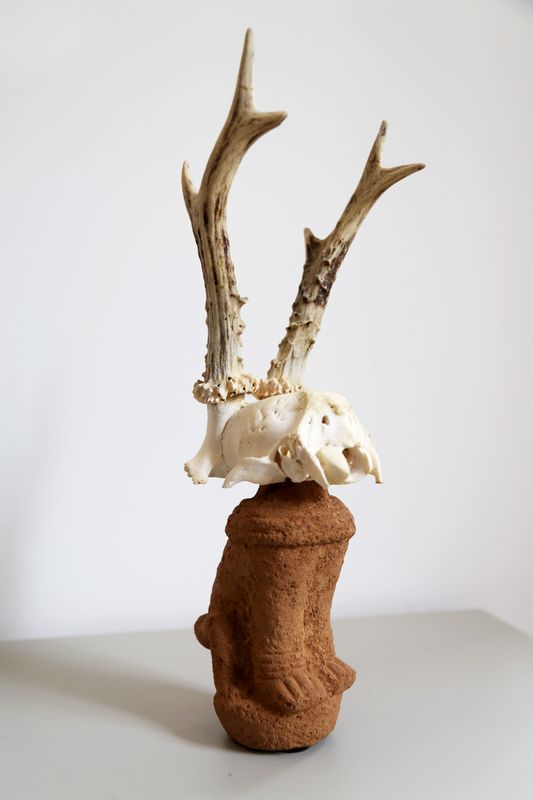Graftings Objects/Sculptures desktop