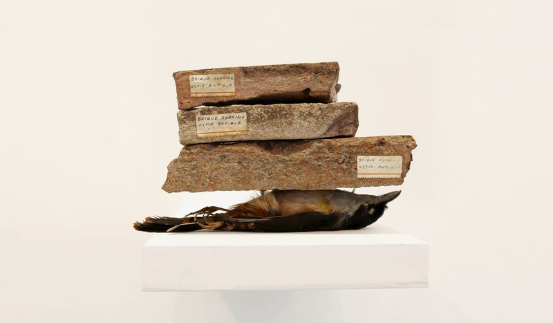 Graftings Objects/Sculptures desktop