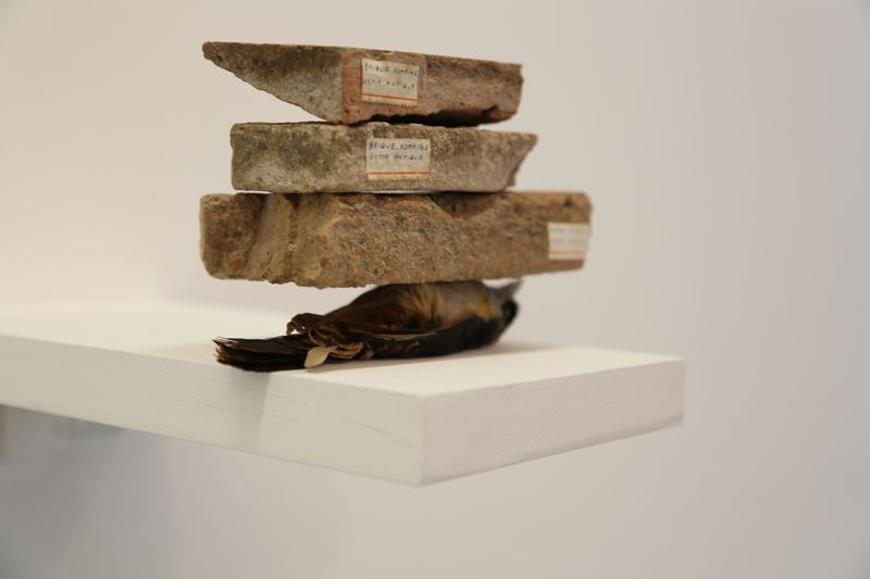 Graftings Objects/Sculptures desktop