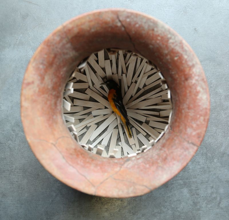 Graftings Objects/Sculptures desktop
