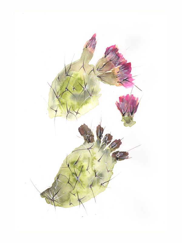 We Grow Thorns so Flowers would Bloom Watercolor and ink on paper desktop