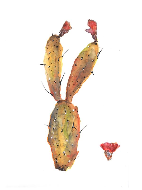 We Grow Thorns so Flowers would Bloom Watercolor and ink on paper desktop