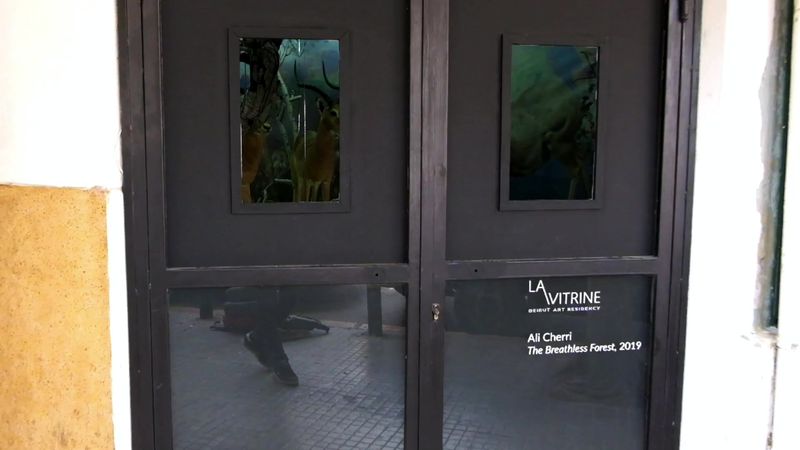 The Breathless Forest  La Vitrine Beirut (Installation) desktop
