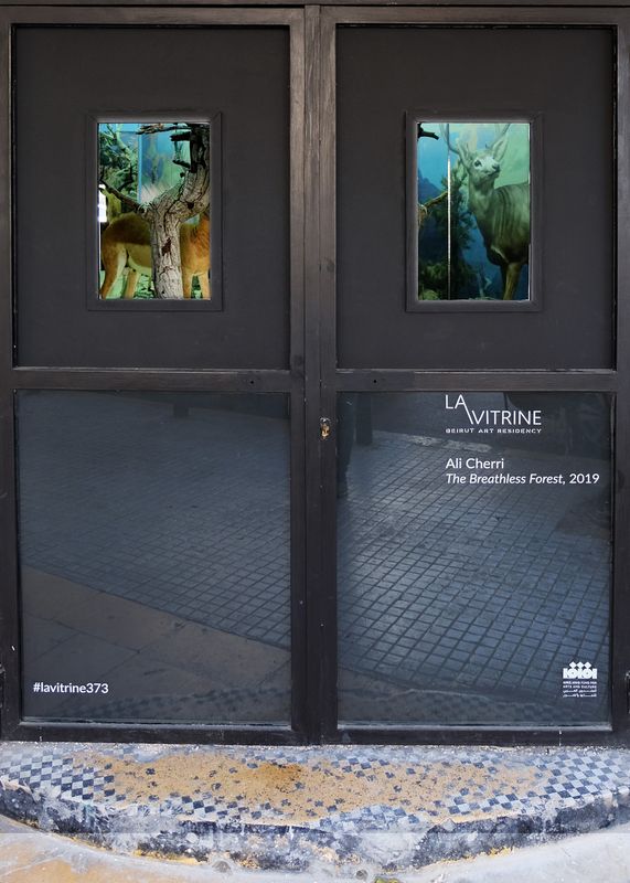 The Breathless Forest  La Vitrine Beirut (Installation) desktop