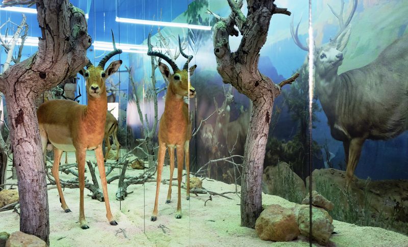 The Breathless Forest  La Vitrine Beirut (Installation) desktop