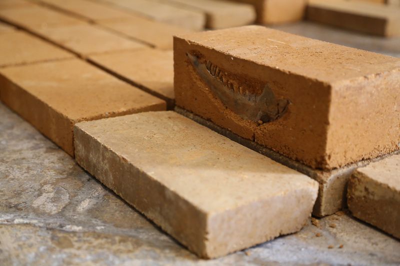 Plot for a Possible Resurrection  « Le Grand Monnayage » - Biennale de Melle (Installation) desktop