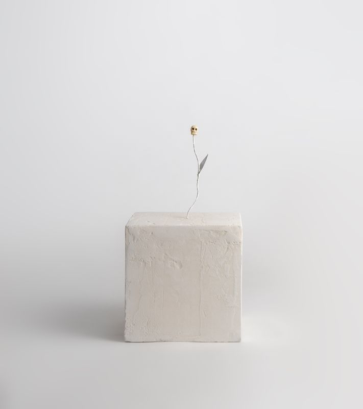 EN VISAGE MENT Institut Giacometti desktop