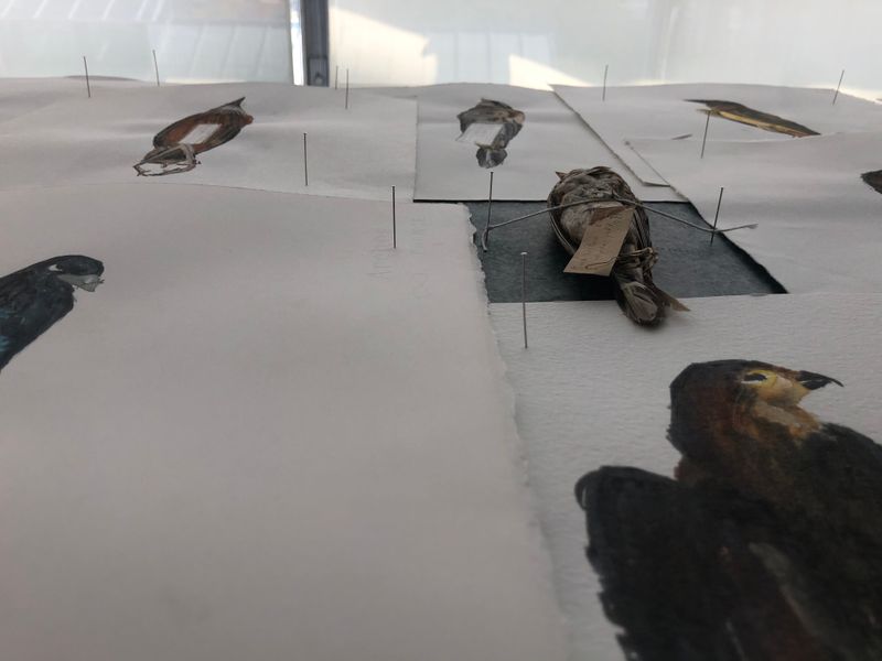 La Mort dans l’âme La vie des tables — Le Credac desktop