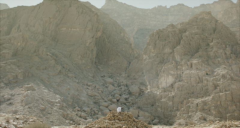 The Digger Film desktop