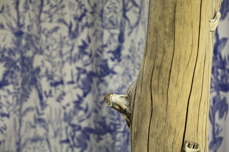 Where do Birds go to Hide (Installation) desktop