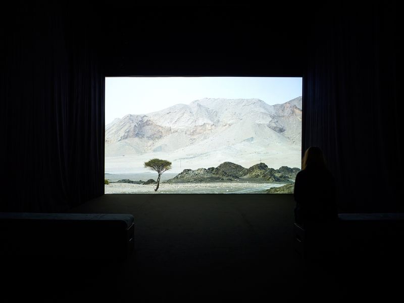 PETRIFIED  Video Installation desktop