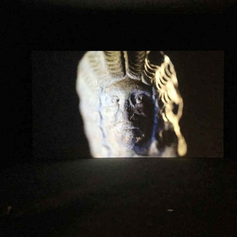 PETRIFIED  Video Installation desktop