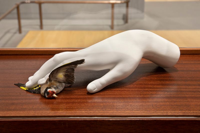 National Gallery If you prick us, do we not bleed? desktop